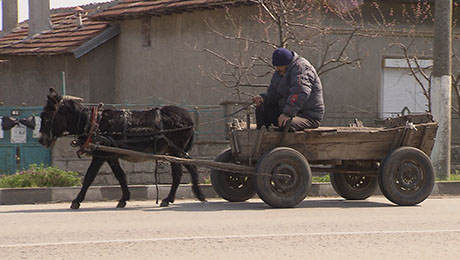 Ruckzuck nach Bulgarien